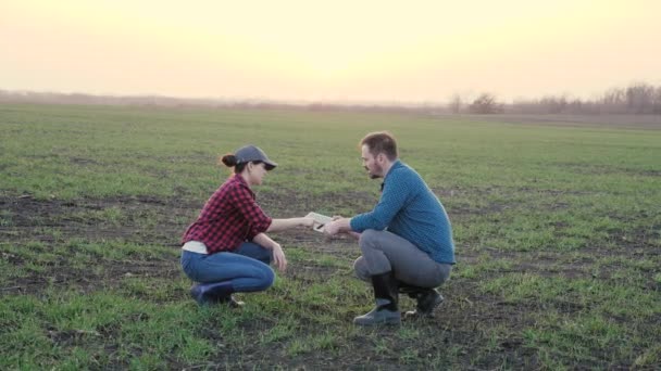 Muž a žena farmáři podnikatelé se podívají na sazenice na zemi na poli a potřesou si rukou, uzavírají dohodu o prodeji úrody, zemědělští podnikatelé analyzují práci v — Stock video