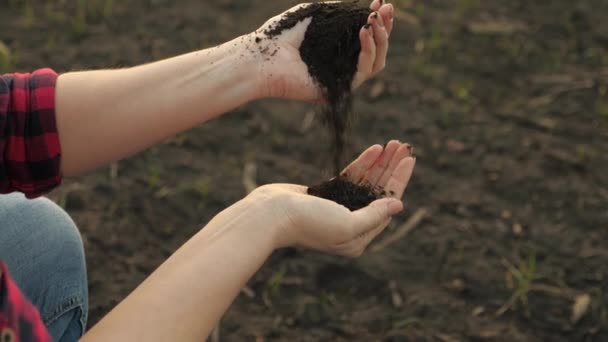 Μια γυναίκα αγρότης χύνει οργωμένη γη από το ένα χέρι στο άλλο, προετοιμάζοντας τα χωράφια για φύτευση λαχανικών και οπωροφόρων δέντρων — Αρχείο Βίντεο