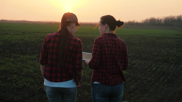 Las niñas agrónomas caminan a través del campo con una tableta y hablar, las mujeres de negocios están discutiendo un proyecto empresarial en un área agrícola, el cultivo de verduras y frutas en las plantaciones, trabajando en el —  Fotos de Stock