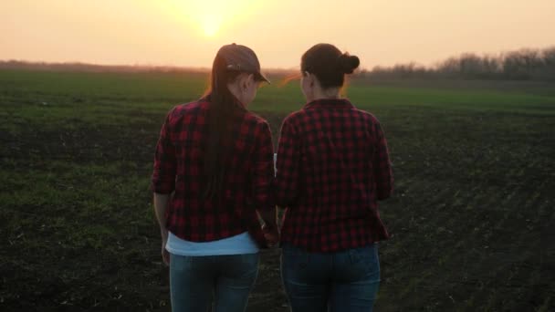 Meisjes agronomen lopen over het veld met een tablet en praten, zakenvrouwen zijn het bespreken van een business project in een landbouwgebied, het kweken van groenten en fruit op plantages, werken aan de — Stockvideo