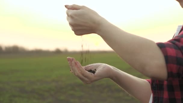 O agrônomo verifica o valor nutricional do solo da terra, campo fertilizado e lavrado, o agricultor trabalha ao ar livre, a vida de um agricultor coletivo no campo, 4K — Vídeo de Stock