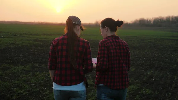 Las niñas agrónomas caminan a través del campo con una tableta y hablar, las mujeres de negocios están discutiendo un proyecto empresarial en un área agrícola, el cultivo de verduras y frutas en las plantaciones, trabajando en el —  Fotos de Stock