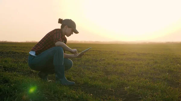 Egy farmer lány egy táblával a kezében dolgozik, miközben egy zöld mezőn guggol a naplemente égboltján, egy üzletasszony elemzi a földön lévő palánták minőségét egy kütyü kijelzőjén. Stock Fotó