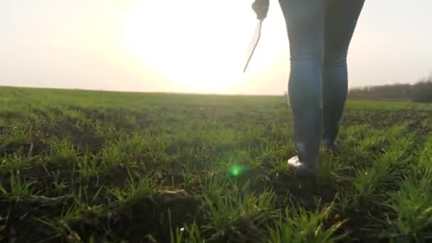 Landbouw. slimme landbouwtechnologie. close-up van boer lopen voeten in laarzen met digitale tablet lopen op groen veld van gras tarwe bij zonsondergang. landbouwconcept voor landbouwwandelingen — Stockvideo