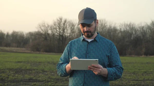 Un granjero con una tableta en un campo sonriendo, un agran trabajando en la tierra, cultivando verduras y frutas, un hombre escribiendo en la pantalla de un gadget, 4K — Foto de Stock