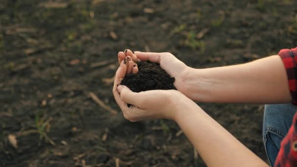 En bondekvinnas händer håller en handfull bördig jord med sina bara händer, en vy ovanifrån. Begreppet jordbruk, jordbruksföretag — Stockvideo