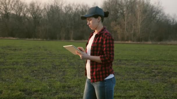 Una mujer agrónoma camina por el campo y trabaja en línea en una tableta, un agricultor hace un análisis de los cultivos en el suelo, un proyecto empresarial para el cultivo de verduras y frutas, la vida agrícola — Vídeos de Stock