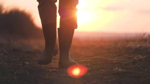 Bauer geht mit Gummistiefeln über die grüne Wiese. Gummistiefel für die Arbeit. Ein Arbeiter geht mit seinen Gummistiefeln bei Sonnenuntergang. Konzept des landwirtschaftlichen Betriebs. Steadicam-Video — Stockfoto