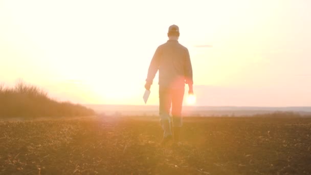 Landbouw. slimme landbouwtechnologie. boer lopen voeten in laarzen met digitale tablet lopen op groen veld van gras bij zonsondergang. landbouwconcept voor landbouwwandelingen — Stockvideo