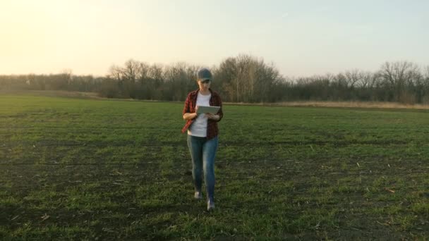 Una mujer agrónoma camina por el campo y trabaja en línea en una tableta, un agricultor hace un análisis de los cultivos en el suelo, un proyecto empresarial para el cultivo de verduras y frutas, la vida agrícola — Vídeos de Stock