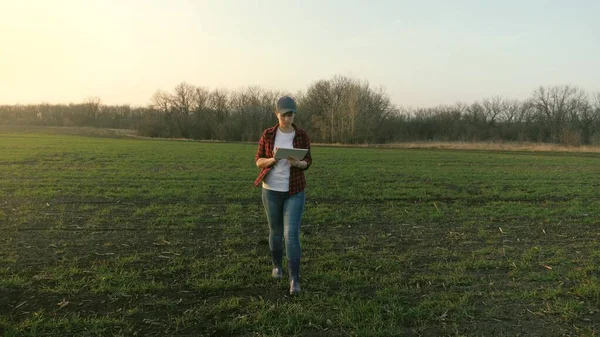 Een vrouwelijke agronomist loopt over het veld en werkt online in een tablet, een boer maakt een analyse van gewassen op de grond, een business project voor de teelt van groenten en fruit gewassen, het agrarische leven — Stockfoto