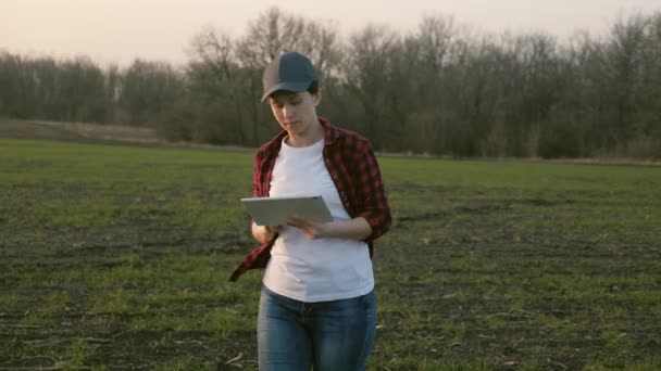 一位女农艺师走过田野，在平板电脑上工作，一位农民对地面上的作物进行分析，这是一个种植蔬菜、果树和农业生活的商业项目 — 图库视频影像