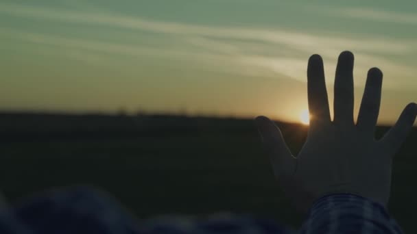 Hand eines glücklichen Mannes bei Sonnenuntergang. Sonnenuntergang zwischen den Händen. Verträumt streckt sie ihre Hand in die Sonne. Kinder träumen Hand in Hand mit der Sonne. Glückliches Familienkonzept — Stockvideo