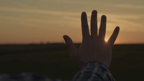 日没時に幸せな男の手。手の間の夕日。夢の中で彼女の手を太陽に伸ばす。子供たちは太陽に手を夢。幸せな家族の概念 — ストック動画
