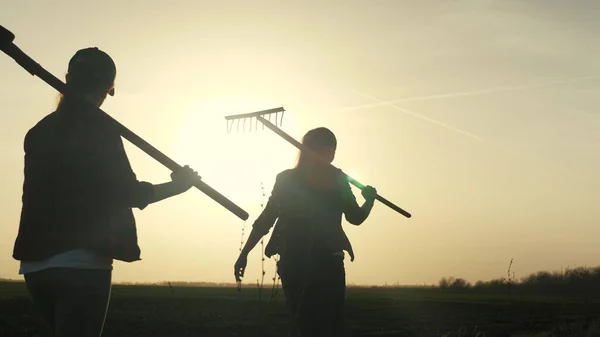 Garotas agricultoras caminham pelo campo para trabalhar com uma pá e ancinho ao pôr do sol no céu, mulheres jovens e adultas vão agarrar a terra, negócios em plantas em crescimento no campo ao ar livre, vida — Fotografia de Stock