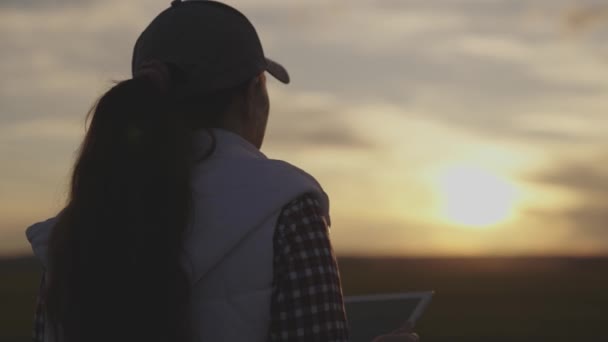 Ein Bauer auf einem Feld geht bei Sonnenuntergang mit einem Tablet, ein Landwirtschaftsbetrieb auf dem Boden, Sämlinge wachsen auf dem Boden, ein moderner Lebensstil in Gadgets, ein Mädchen ist Assistentin — Stockvideo