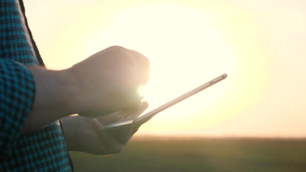 Tecnología de agronegocios en el campo ipad control agrícola agricultura de precisión Granjero ipad en campo de soja cultivada, aplicando tecnología moderna en la actividad agrícola, enfoque selectivo — Vídeos de Stock