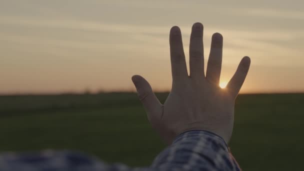 Gelukkige mensenhand bij zonsondergang. Zonsondergang tussen de handen van een man. Gelukkige man met dromerig strekt zijn hand uit naar de zon. Droomhand naar de zon. gelukkig familieconcept — Stockvideo