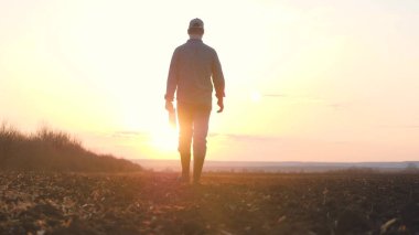 Lastik çizmeli bir çiftçi ve elinde bir tablet lastik çizmelerle yeşil alanda yürüyor, tarım işi kavramı, ekili ekin filizlerini, ekin hasadını görüyor.
