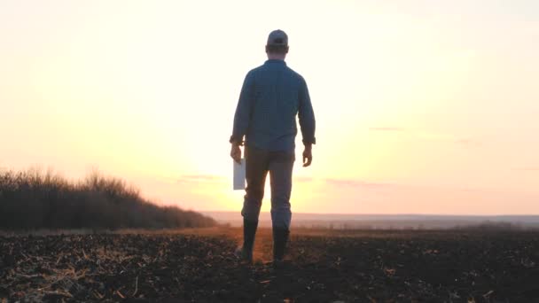 A farmer in rubber boots and a tablet in his hands walks through the green field in rubber boots, the concept of farming business, view the planted shoots of crops, the harvest of eco-crops — Stock Video