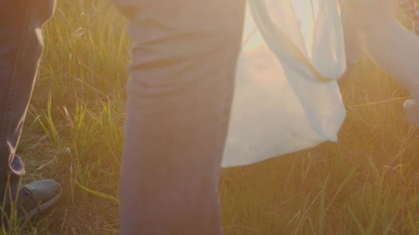 Een groep mensen verzamelt afval in vuilniszakken met handen in beschermende handschoenen, milieuvervuiling van de groene planeet, houdt de aarde schoon, bescherming en milieubescherming — Stockvideo