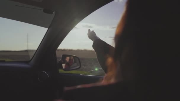 Het meisje reist met haar hand uit het raam van de auto en vangt de wind in de schittering van de zon, neemt een lange weg op een zakenreis, een gelukkige man die met de wind speelt, het is tijd om vrij te dromen — Stockvideo