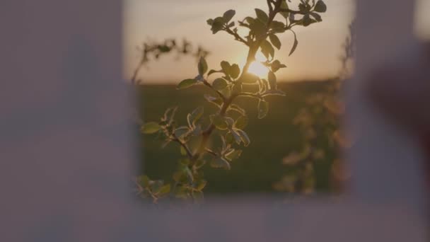 Un homme tient une maison en papier dans sa main au coucher du soleil dans le ciel, le concept d'une famille heureuse, la construction et la livraison de locaux résidentiels, le règlement des personnes, la vente et le prêt d'un — Video