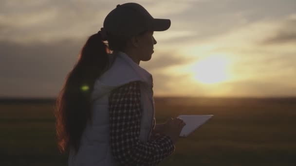 Een boer in een veld loopt bij zonsondergang met een tablet werken, een agronomen bedrijf op de grond, zaailingen geteeld op de grond, een moderne manier van leven in gadgets, een meisje is een assistent — Stockvideo