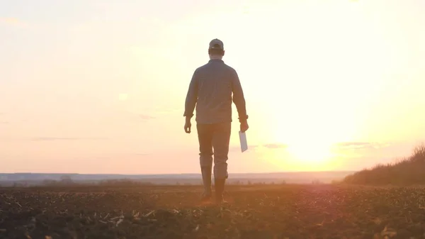 Een boer loopt met een tablet in zijn hand op de grond bij zonsondergang in de lucht, een werkende man agronomist is bezig met landbouw in het veld, is het tijd om het land te bemesten voor zaailingen van de — Stockfoto