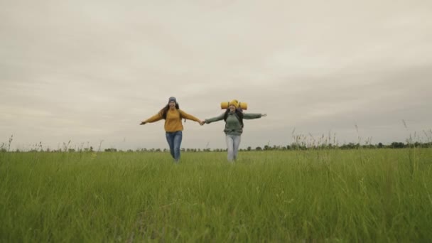 Glückliche aktive Hipster-Mädchen mit Rucksäcken auf dem Rücken reisen durch ein schönes Tal, Millennial-Frau auf der grünen Wiese, Wanderreisen, Wanderwegspringen, Outdoor-Freizeit — Stockvideo