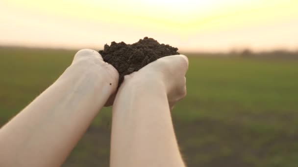 Land in the hands of a close-up, rural life of an agronomist, preparation and fertilization of the earths surface for planting vegetables, berries, fruits and cultivated plants, preserve the ecology — Stock Video