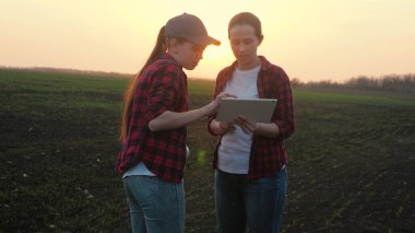 Farmers teaming up to make a business plan in the tablet in the field, the concept of rural life, agricultural work on fertilization with organic substances of the farm, senior agronomist clipart