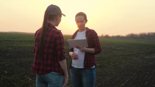Landbouwers werken samen om een bedrijfsplan op te stellen in de tablet in het veld, het concept van het plattelandsleven, landbouwwerk over bemesting met organische stoffen van de boerderij, senior agronomist — Stockvideo
