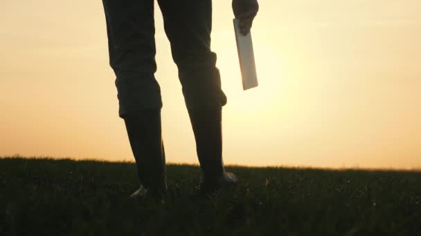 Botlu çiftçi gün batımında elinde bir tabletle çiftlikte yürüyor, tarımda çalışma kavramı, tahıl ekme mevsiminde bir tarım uzmanının hayatı, kırsal arazi. — Stok video