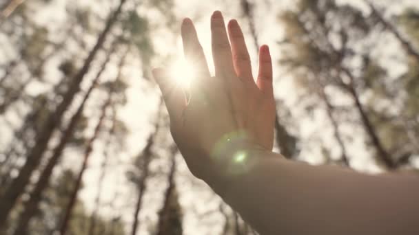 Uma mão de homem nos raios do sol alcança o céu, tempo para sonhar e viajar, para rezar pedindo ajuda na vida, crenças religiosas de diferentes nacionalidades, o movimento lento de uma mão em movimento — Vídeo de Stock