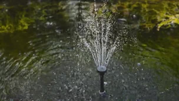 Bahçe için suyla süslemenin dekoratif süslemesi, jet spreyi ve yavaş çekimde bir damla su, yerin altından akan sıvı su, bir bahçe çeşmesi. — Stok video