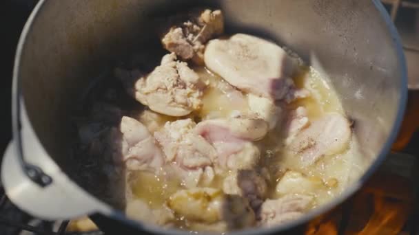 Vlees wordt gebakken in een pan boven een open haard op een kampeervakantie, openluchtrecreatie met koken, eten op het vuur op een vrije dag, een traditioneel gerecht met vlees, keuken in extreme omstandigheden — Stockvideo