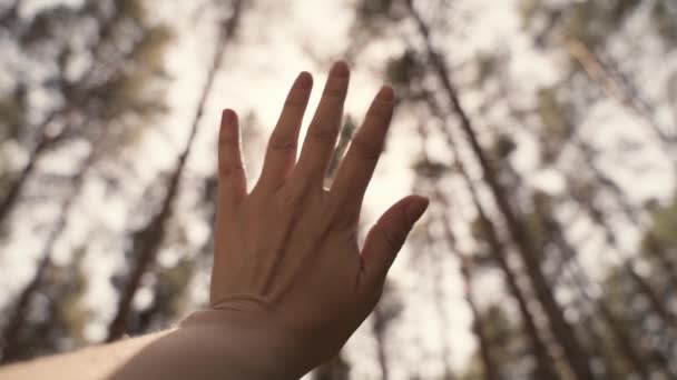 Uma mão de homem nos raios do sol alcança o céu, tempo para sonhar e viajar, para rezar pedindo ajuda na vida, crenças religiosas de diferentes nacionalidades, o movimento lento de uma mão em movimento — Vídeo de Stock