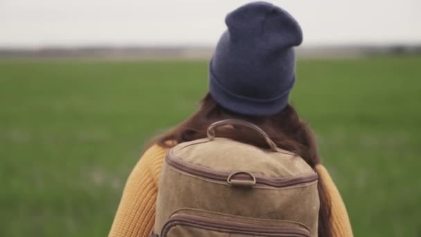 Glückliches aktives Hipster-Mädchen mit Rucksack auf dem Rücken unterwegs im schönen Tal, Millennial-Frau auf der grünen Wiese, Wandern, Wandern, Outdoor-Freizeit-Wochenende — Stockvideo