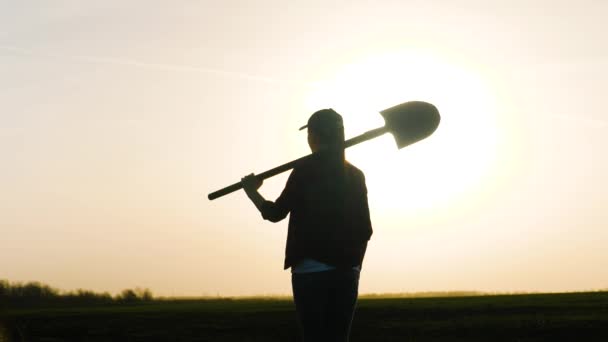 Egy felnőtt lány farmer sétál egy lapáttal a vállán a mezőn naplementekor az égen, egy üzletasszony agronómus hajnalban dolgozik a mezőn, egy férfi megy, hogy csöpögtesse a földet és palántákat ültessen — Stock videók