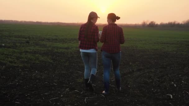 Boeren meisjes lopen over het veld in laarzen met een tablet en praten over werk, zaken in de landbouw, een grote ranch, agronomen in de tuin te bespreken zaailingen op de grond — Stockvideo