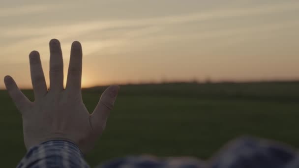 Mano masculina en la luz del sol, mano que se extiende hacia el atardecer en el cielo, concepto de un hombre feliz, soñando con tocar a Dios, confesión fe religiosa, cámara lenta — Vídeos de Stock