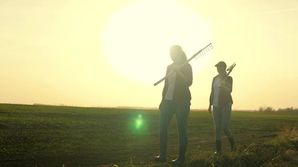Farmer girls walk across the field to work with a shovel and rake at sunset in the sky, young and adult women are going to grab the earth, business on growing plants in the countryside outdoors, life