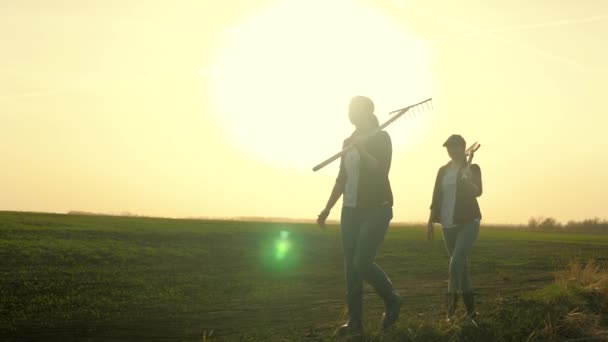 Niñas agricultoras caminan a través del campo para trabajar con una pala y rastrillo al atardecer en el cielo, mujeres jóvenes y adultas van a agarrar la tierra, negocio en el cultivo de plantas en el campo al aire libre, la vida — Vídeos de Stock