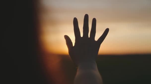 Reaching out to the sun, happy girl at sunset, sunlight shining on her hand, solar system star, happy family concept, touching a dream, asking for help from God, natural phenomenon — Stock Video