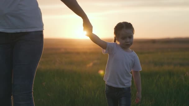 Un bambino piccolo tiene la mano della madre al tramonto, l'amore materno e la cura per la figlia, toccare il sogno della mamma, il concetto di una vita familiare felice, il bambino tocca il genitore con la mano — Video Stock