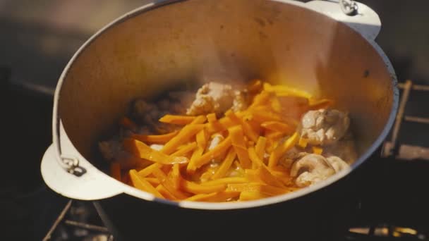 La viande avec des carottes et du poivre noir moulu est bouillie dans une casserole dans la nature, la casserole est fumante et bouillonnante avec du bouillon de protéines, des loisirs touristiques, de la nourriture sur le feu, un dîner familial heureux — Video