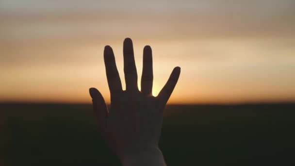 Llegar al sol, niña feliz al atardecer, la luz del sol que brilla en su mano, estrella del sistema solar, concepto de familia feliz, tocar un sueño, pidiendo ayuda a Dios, fenómeno natural — Vídeos de Stock