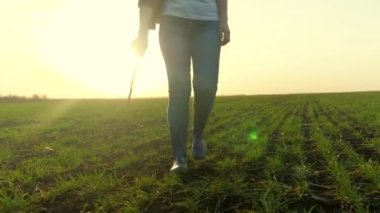 Botlu bir çiftçi elinde tabletle bir tarlada yeşil filizler üzerinde yürüyor. Güneşin parlaklığında, tarım hayatı kavramı, bir çiftliğe yerleşiyor, modern tarım teknolojileri...
