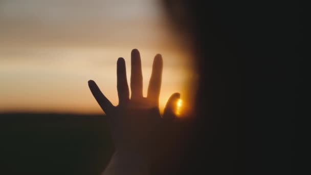 Bambino piccolo corre attraverso il campo di calcio verde giocare a calcio al tramonto nel cielo, bambino calcia la palla e lo raggiunge, il concetto di una vita felice infanzia, bambino sano attivo — Video Stock